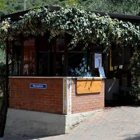 Alpino - Nature Village 캠프장 *